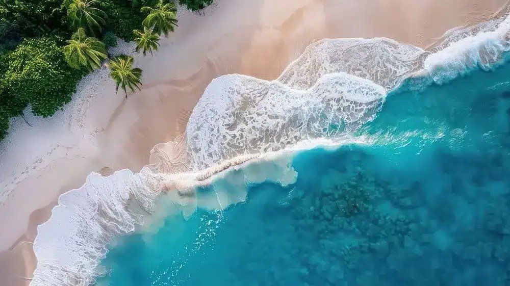 Konkan Beach