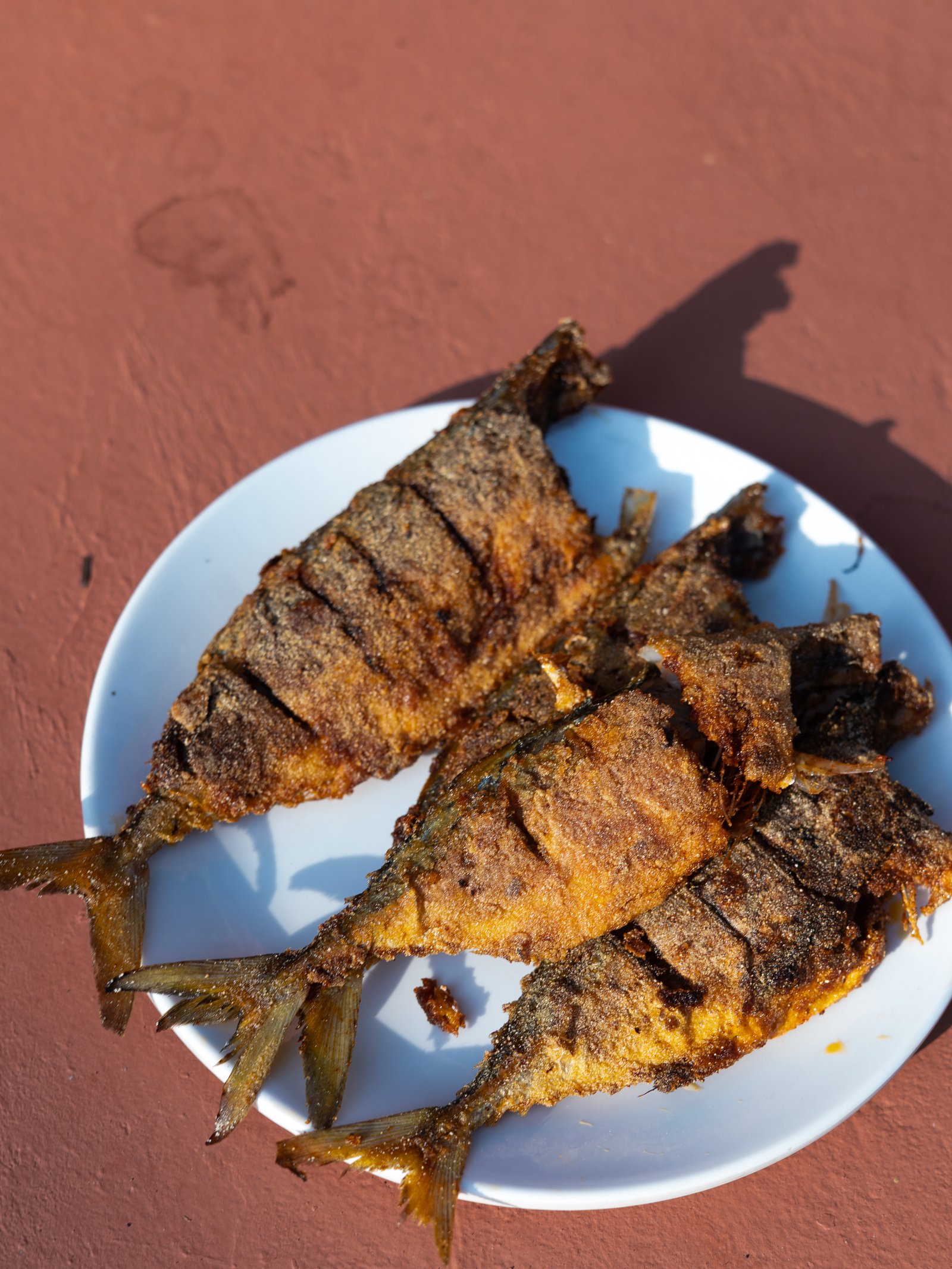Konkan Specialty